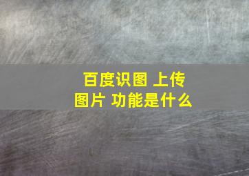 百度识图 上传图片 功能是什么